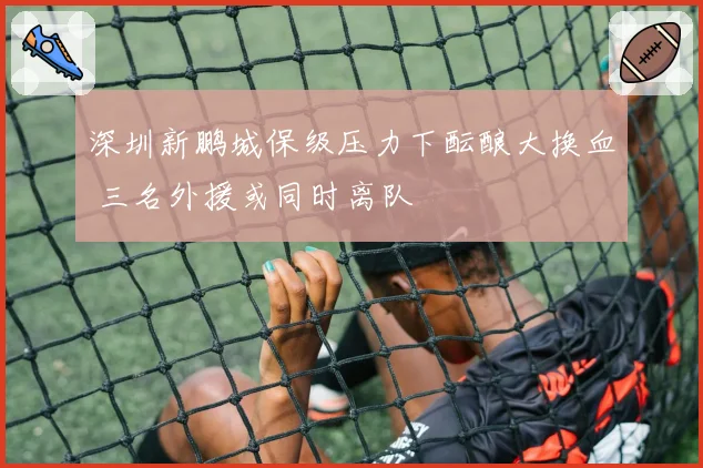 深圳新鹏城保级压力下酝酿大换血 三名外援或同时离队