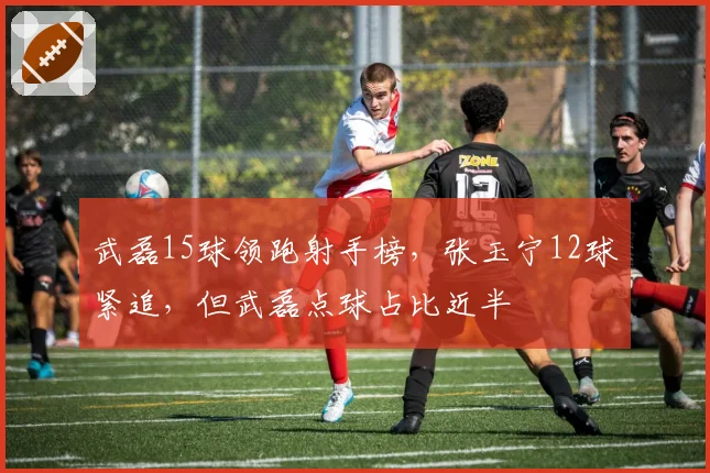 武磊15球领跑射手榜，张玉宁12球紧追，但武磊点球占比近半